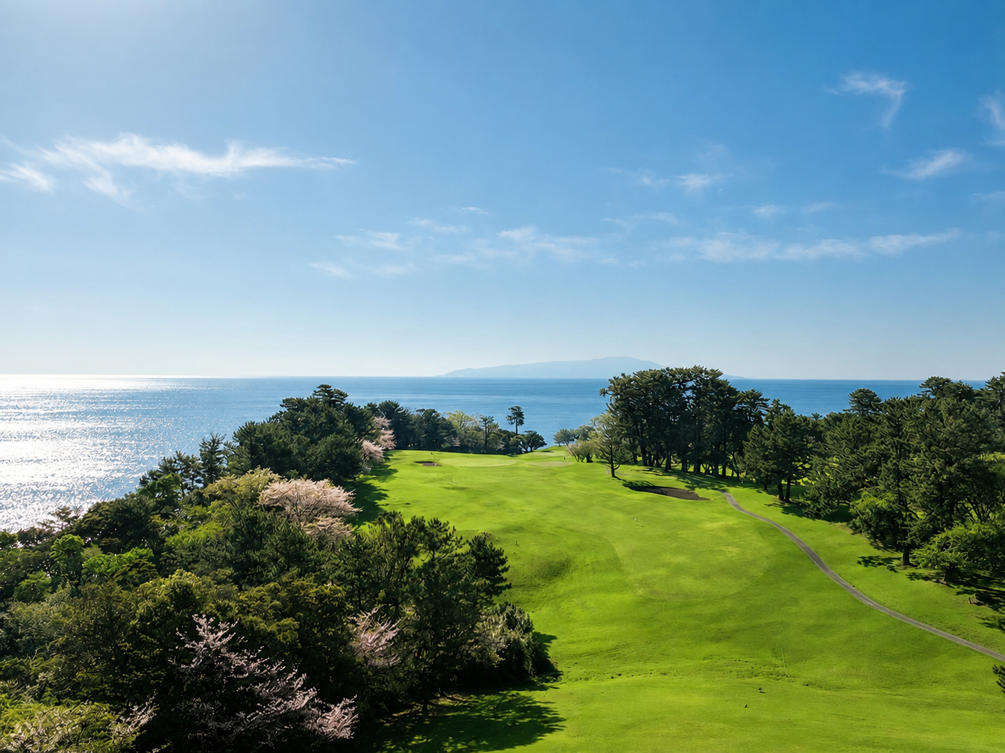 Oshima Course view 2